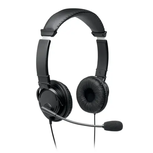Classic USB-A Headset with Mic